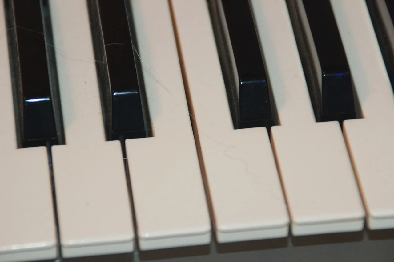 A close-up of piano keys lit in cool tones.