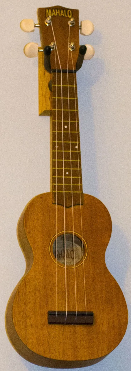 A ukulele standing upright, strings facing the camera.